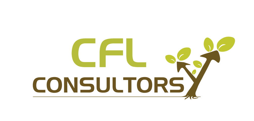 CFL Consultors - Servicios Financieros para Empresas